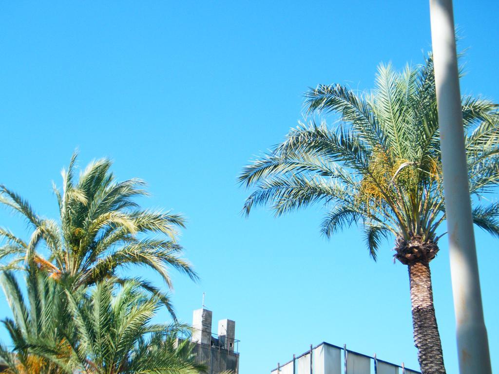 Appartamento Vacanze I Provenzali Bordighera Exterior foto